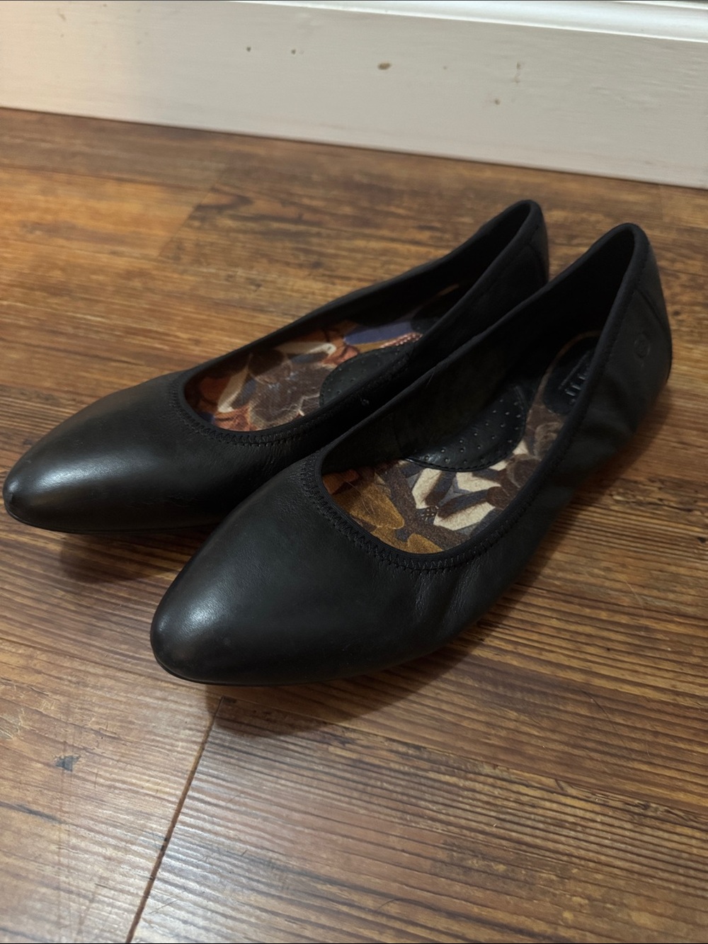 Born Black Pointed-Toe Ballet Flats